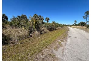 FARVIEW DR, NORTH PORT, FL 34288 - MLS#MFRC7504995