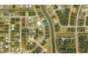 AMNESTY DR, NORTH PORT, FL 34288 - MLS#MFRC7505022