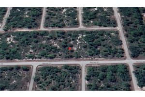 929 DURRANCE ROAD, LAKE PLACID, FL 33852 Sold 05/23/25