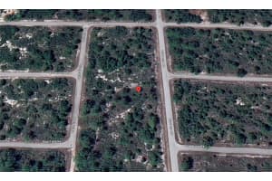 929 DURRANCE ROAD, LAKE PLACID, FL 33852 Sold 05/23/25