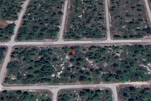 929 DURRANCE ROAD, LAKE PLACID, FL 33852 Sold 05/23/25