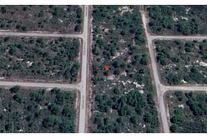 929 DURRANCE ROAD, LAKE PLACID, FL 33852 Sold 05/23/25