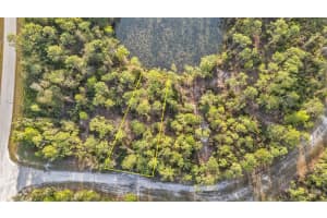 12319 CATRIDGE CIRCLE, PUNTA GORDA, FL 33955 - MLS#MFRC7505048