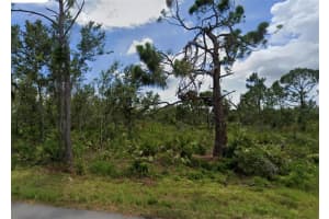 2513 LYRIC STREET, PORT CHARLOTTE, FL 33953 Sold 08/08/25