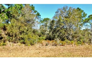 TROPICAIRE BLVD, NORTH PORT, FL 34286 Sold 09/08/25