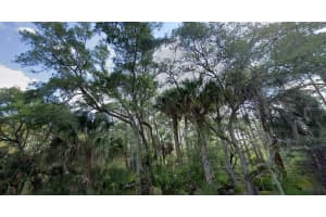 1210 LOTUS STREET, PORT CHARLOTTE, FL 33953 Sold 08/29/25