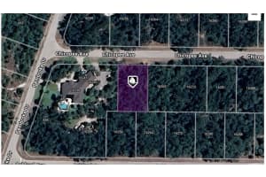 16257 CHICOPEE AVENUE, PORT CHARLOTTE, FL 33954 Sold 06/26/25