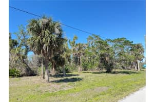 50 COBIA DRIVE, PLACIDA, FL 33946 - MLS#MFRC7505824