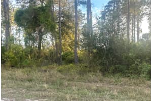 754 MEADOW ROAD, LEHIGH ACRES, FL 33973 Sold 08/28/25