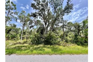 13377 JOHANNES AVENUE, PORT CHARLOTTE, FL 33953 - MLS#MFRC7505961