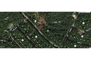 8513 ALAMEDA DRIVE, CITRUS SPRINGS, FL 34434 Sold 04/11/25