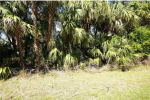 WALMSLEY AVE, NORTH PORT, FL 34287 Sold 01/14/26