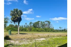 60 PINE VALLEY COURT, ROTONDA WEST, FL 33947 - MLS#MFRC7507375