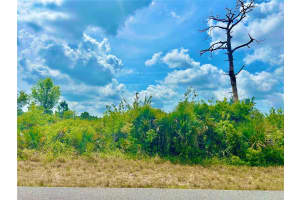 12053 ABRAMS AVENUE, PORT CHARLOTTE, FL 33981 - MLS#MFRC7507406