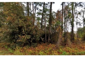 Lot 18 SENATE AVENUE, NORTH PORT, FL 34291 - MLS#MFRC7507996