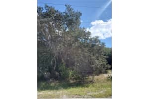 13115 PANATELLA DRIVE, PUNTA GORDA, FL 33955 - MLS#MFRC7508041