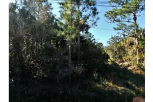 SHOREWOOD ST, NORTH PORT, FL 34286 Sold 05/19/25