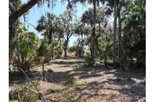 AMBER BELL TRL, LAKE PLACID, FL 33852 - MLS#MFRC7508441