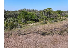 AMBER BELL TRL, LAKE PLACID, FL 33852 - MLS#MFRC7508441