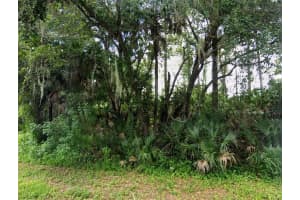 17172 & 17180 RUSSELL AVENUE, PORT CHARLOTTE, FL 33954 Sold 07/14/25