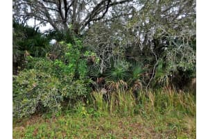 BRIXTON TER, NORTH PORT, FL 34291 - MLS#MFRC7508777