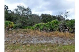 BRIXTON TER, NORTH PORT, FL 34291 - MLS#MFRC7508779