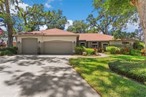 1102 Hunt Club Ln, VALRICO