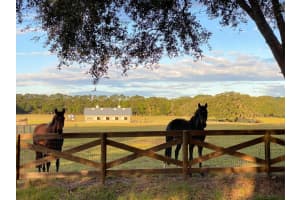 1500 210TH AVENUE, DUNNELLON, FL 34431 - MLS#MFRC7509611