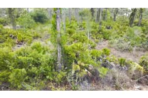 27445 CHRYSALIS DRIVE, PUNTA GORDA, FL 33955 - MLS#MFRC7509744