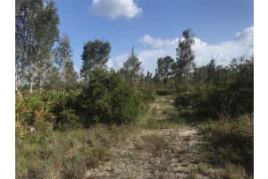 48091 BERMONT ROAD, PUNTA GORDA, FL 33982 - MLS#MFRC7509785