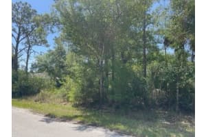 23485 BRANCH AVENUE, PORT CHARLOTTE, FL 33980 - MLS#MFRC7510173