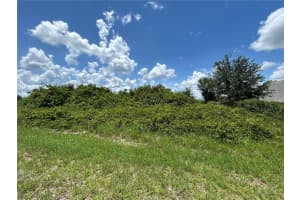29100 ALFARETTA AVENUE, PUNTA GORDA, FL 33982 - MLS#MFRC7511051