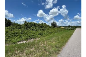 29100 ALFARETTA AVENUE, PUNTA GORDA, FL 33982 - MLS#MFRC7511051