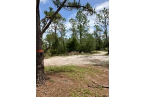 BLITZEN TER, NORTH PORT, FL 34287 - MLS#MFRC7511357