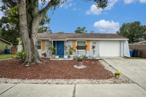 3612 Patina Dr, TAMPA