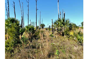 EWEN LOT #17 CIR, NORTH PORT, FL 34288 Sold 08/11/25