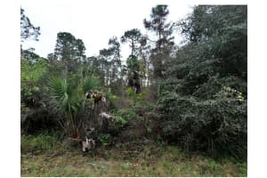 KAMAIN RD, NORTH PORT, FL 34288 - MLS#MFRC7511689