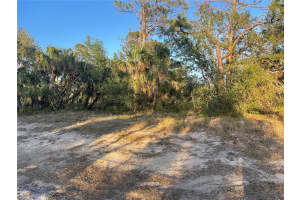 BAYNES RD, NORTH PORT, FL 34288 - MLS#MFRC7511766