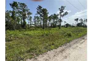 29528 CLARA DRIVE, PUNTA GORDA, FL 33982 - MLS#MFRC7511793