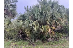 HORACE AVE, NORTH PORT, FL 34286 Sold 07/30/25