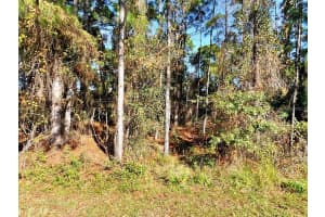 HANSARD AVE, NORTH PORT, FL 34286 Sold 08/05/25
