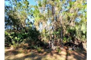 LARRIMORE AVE, NORTH PORT, FL 34291 - MLS#MFRC7512236