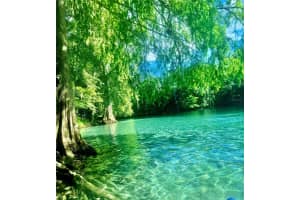 609 PEACE DRIVE, LAKE CITY, FL 32024 Sold 10/27/25