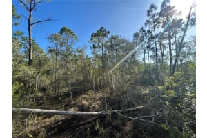 7041 SWEDEN BOULEVARD, PUNTA GORDA, FL 33982 Sold 12/02/25