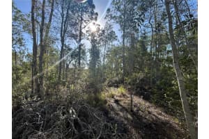 7041 SWEDEN BOULEVARD, PUNTA GORDA, FL 33982 Sold 12/02/25