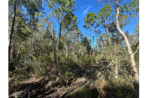 7041 SWEDEN BOULEVARD, PUNTA GORDA, FL 33982 Sold 12/02/25