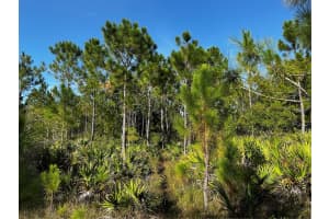 50204 BERMONT ROAD, PUNTA GORDA, FL 33982 - MLS#MFRC7512428