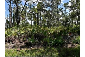 VESPUCIUS ST, NORTH PORT, FL 34287 - MLS#MFRC7512656