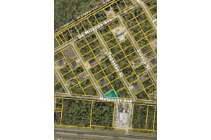 VESPUCIUS ST, NORTH PORT, FL 34287 - MLS#MFRC7512656