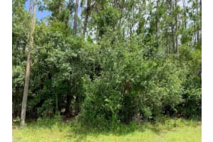 JOE JEFF ST, NORTH PORT, FL 34286 - MLS#MFRC7512763